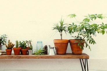 Bankje met planten