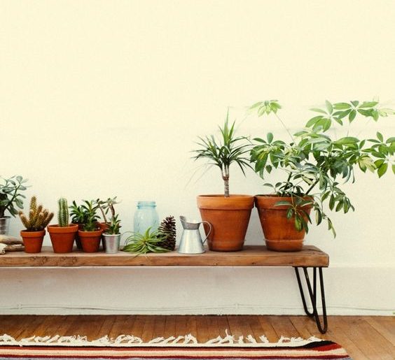 Bankje met planten