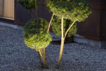 boomverlichting tips