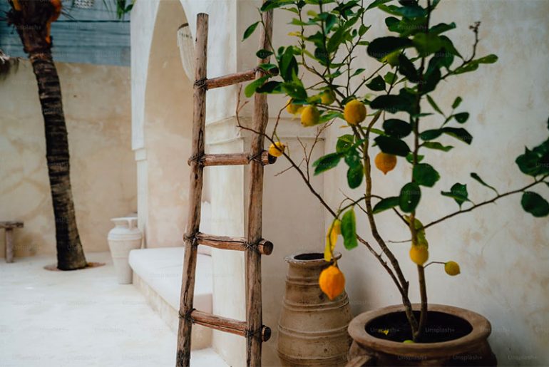 creeer een mediterrane oase in je eigen-achtertuin