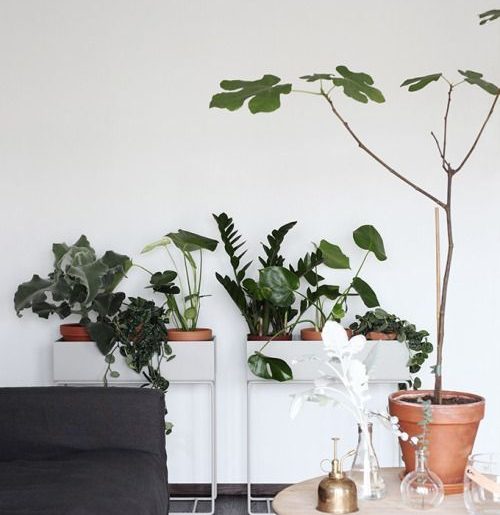 Ferm Living plantenbak