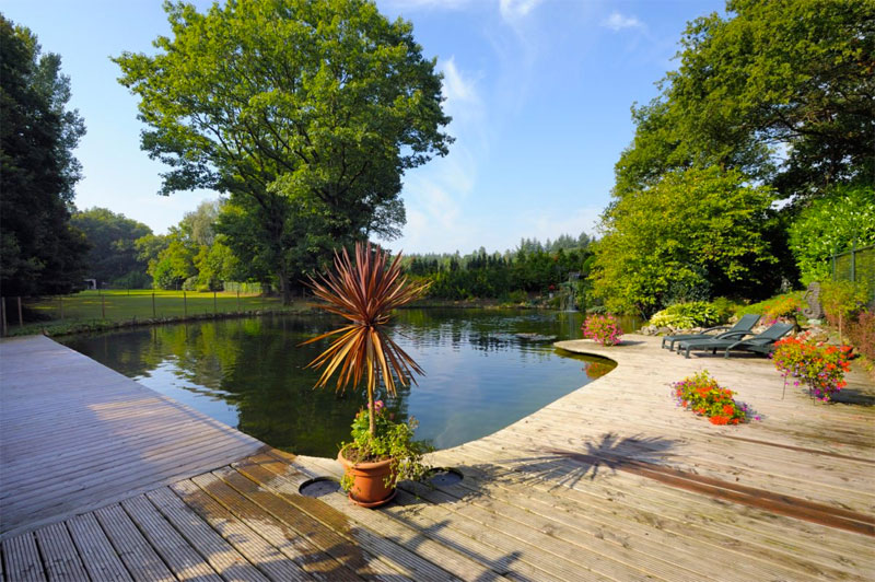 Zwembadbouwer Waterwel realiseerde deze mooie grote natuurlijke zwemvijver | Bron: Waterwel.nl