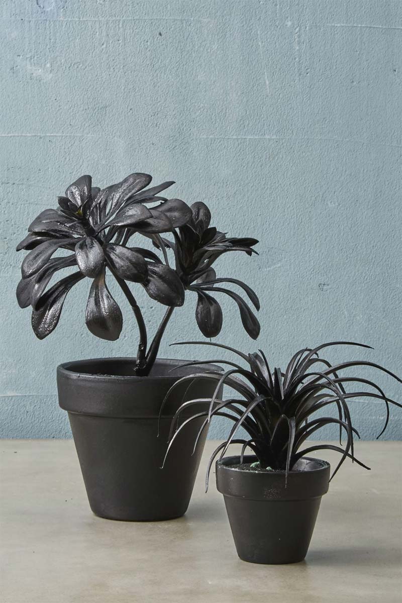 halloween decoratie ideeën zwarte planten bloemen