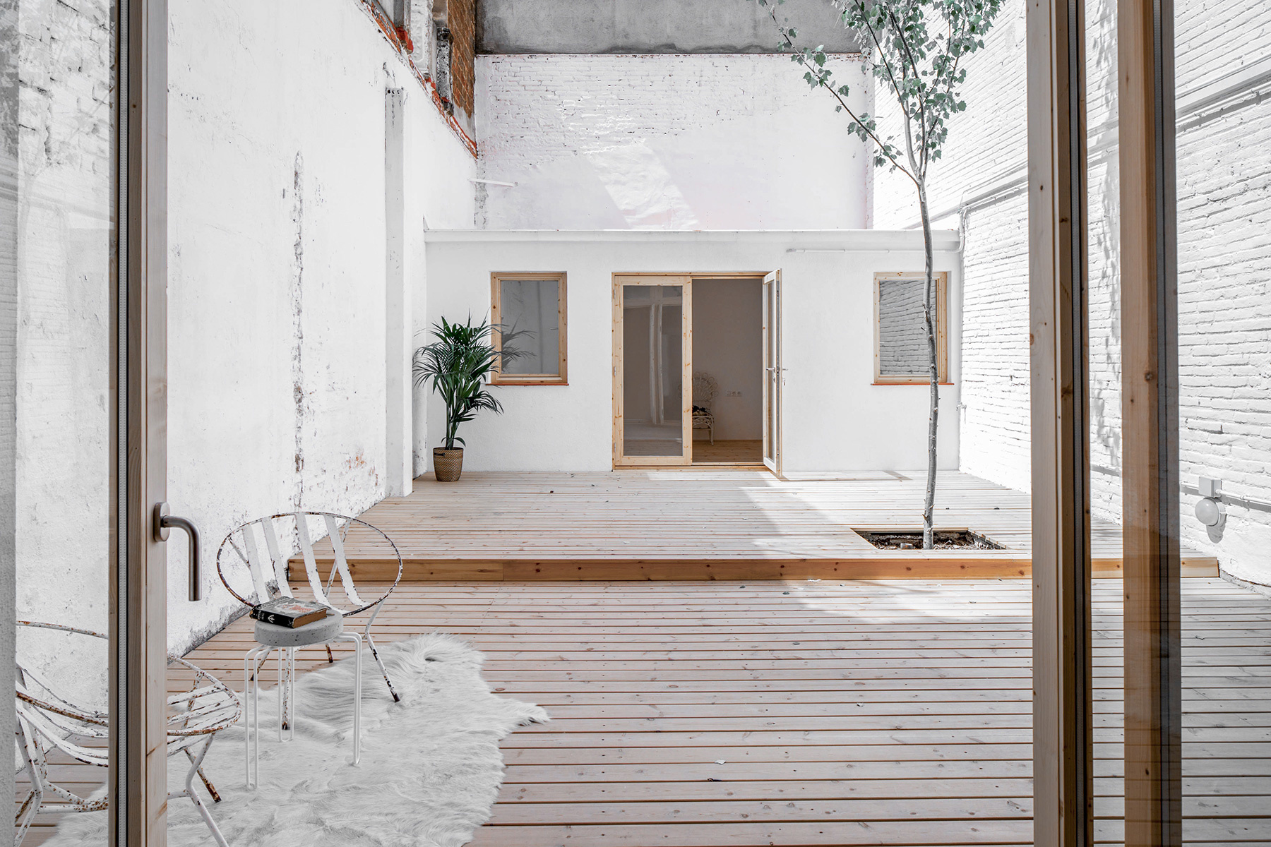 Minimalistische oase tuin in Barcelona