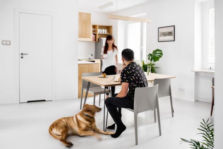 Modern appartement met underlayment interieur