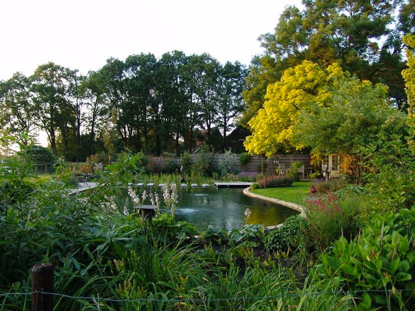 Deze mooie natuurlijke zwemvijver is aangelegd door Zwemvijver Expert. | Zwemvijverexpert.nl