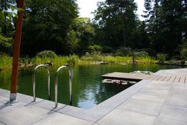 natuurlijke zwemvijver tuin