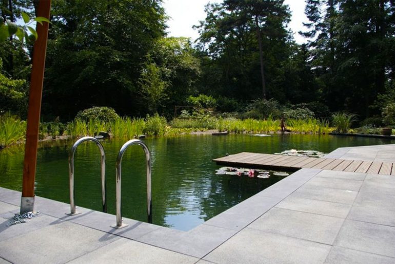 natuurlijke zwemvijver tuin