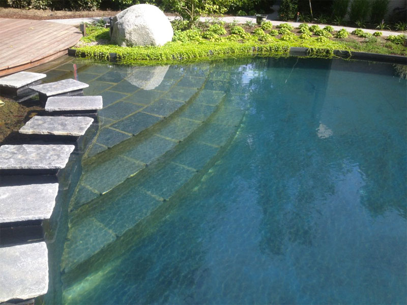 Ziet deze betegelde trap er niet geweldig uit in deze mooie natuurlijke zwemvijver? | Bron: Waterwel.nl