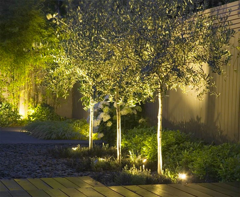 De uplights van LuxForm zetten de mooie olijfbomen in de spotlight!