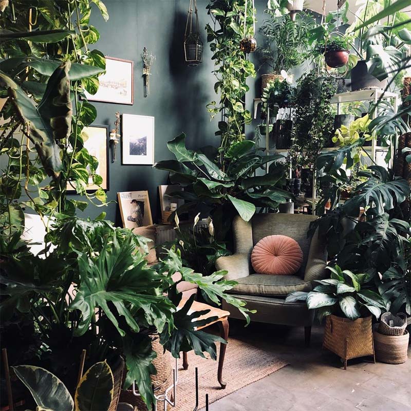plantenwinkels filya indoor garden