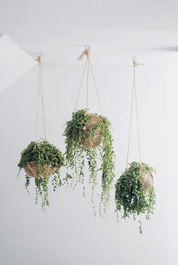 Planten ophangen