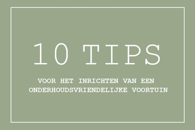 Onderhoudsvriendelijke voortuin tips