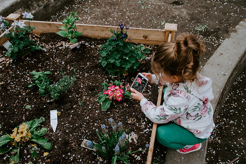 tuinieren met kinderen tuin