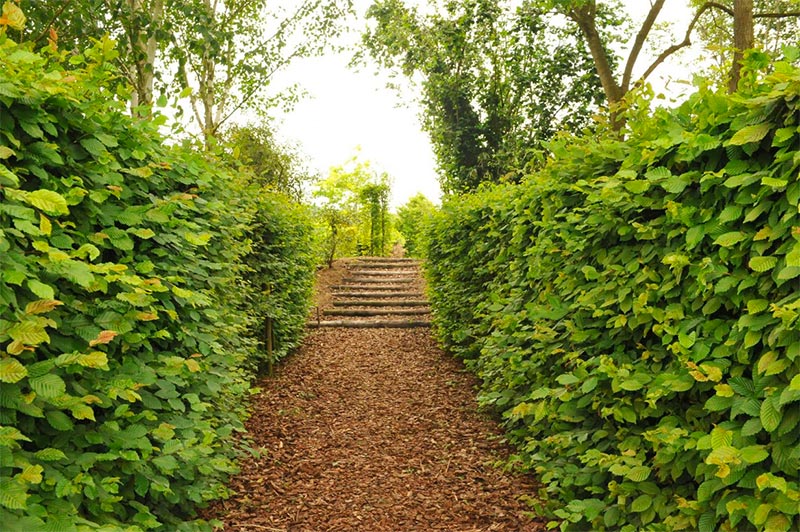 Dit tuinpad is aangelegd met Franse boomschors. Hier verkrijgbaar.