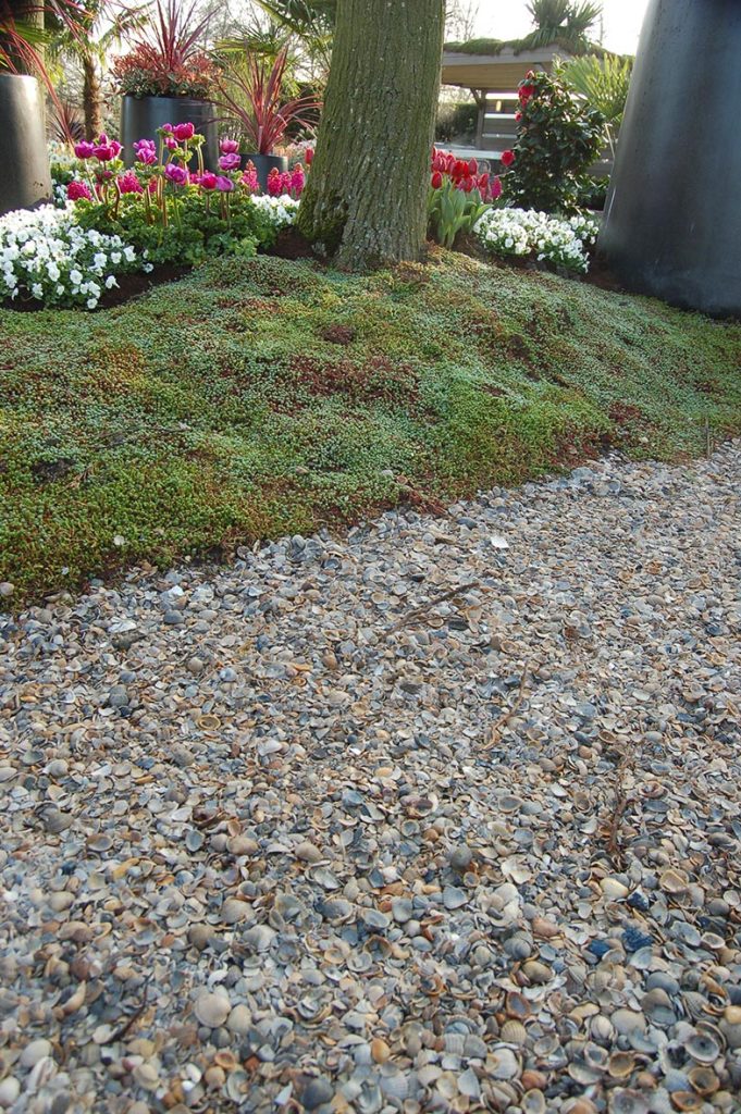 Breed tuinpad van 8-16 mm |schelpen. Hier verkrijgbaar. 