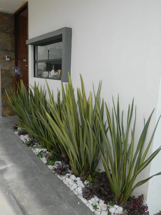 Voortuin onderhouden