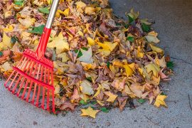 wanneer tuin opruimen herfst
