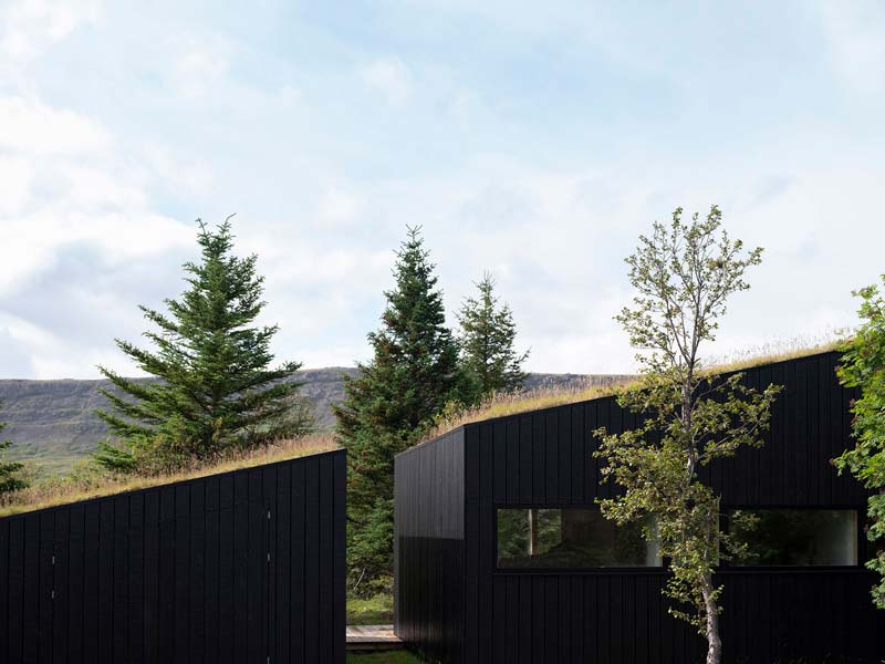 zwart huis groen dak